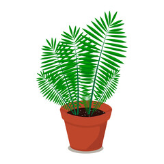 Houseplant in pot. Vector flat illustration of plant, flowerpot on a transparent background. Green home plant.