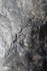 Close Up of Smooth Textured Rock on Seashore 