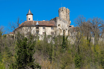 Fototapeta na wymiar Burg Krautheim