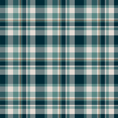 Plaid seamless pattern. Vector background of textile ornament. F