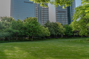 Lujiazui central park, green grass and modern skycrapers,  for background.