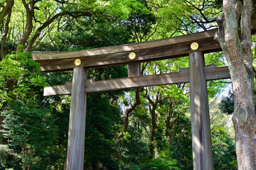 The wooden torii gate in Tokyo.