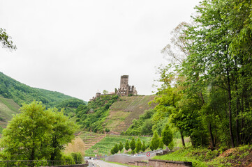 Beilstein, Burgruine, Metternich, Mosel, Weinberge, Moseltal, Cochem-Zell, Rheinland-Pfalz,...