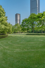 Lujiazui central park, green grass and modern skycrapers,  for background.