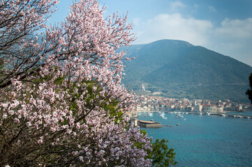 Komiza town in spring time, Vis island