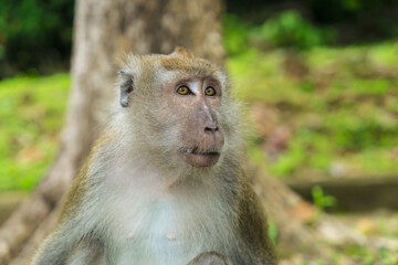 Langkawi - Kuala Lumpur - Malaisie 