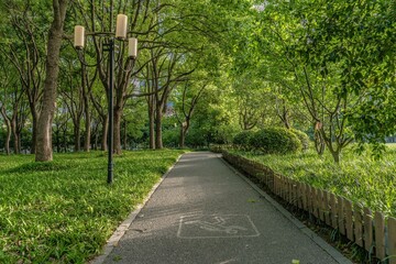 A jogging lane in a park in Shanghai, China.