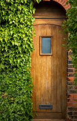 Wooden door half overgrown by ivy