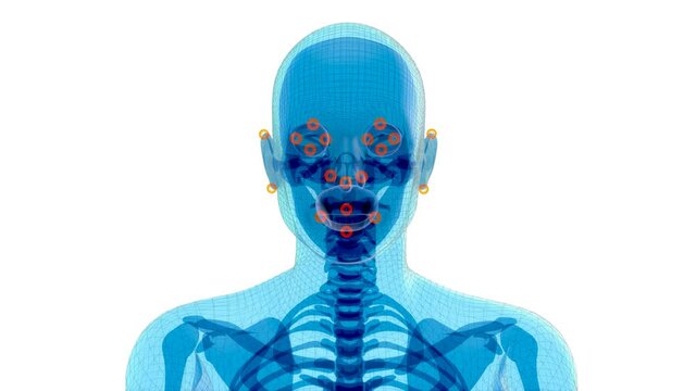 4K anatomy concept of facial recognition