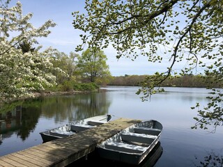 Two row boats docked on the pond at Connetquot River State Park Preserve on Mother's Day on Long Island, New York