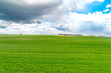 Summer countryside landscape with flat and low land under blue sky in Poland.