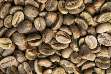 Green unroasted coffee beans. Closeup shot of coffee beans.