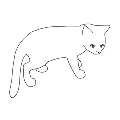 猫の全身イラスト　立っている子猫