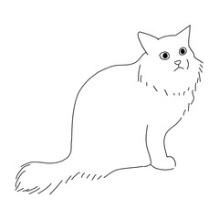 猫の全身イラスト　長毛種の猫
