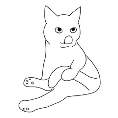 猫の全身ドローイング　グルーミング中、尻尾を持っている猫