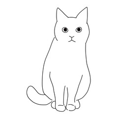 猫の全身ドローイング　お座りしている猫