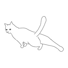猫の全身イラスト　後ろ足を伸ばしている猫