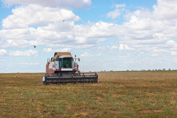 Obraz premium A large combine works in a wheat field