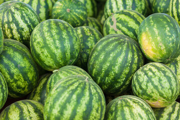 A large pile of fresh green watermelons is on the market
