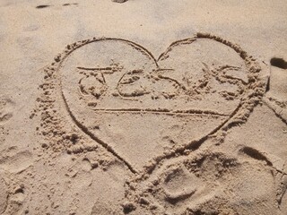 the beach 