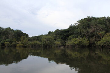 Fototapeta na wymiar Passeio de canoa, Igapó, Floresta Nacional do Tapajós.