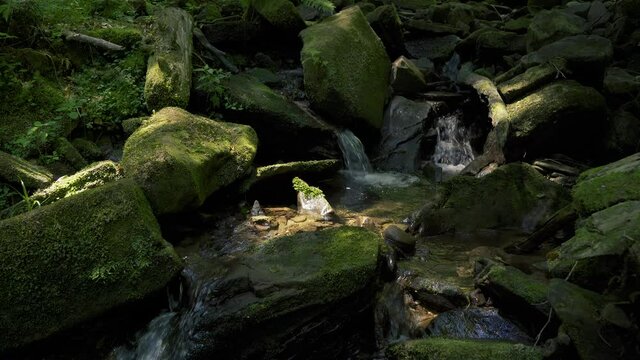 Moosig Bilder Durchsuchen 741 Archivfotos, und Videos