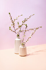 Spring blooming branches in vases, front view