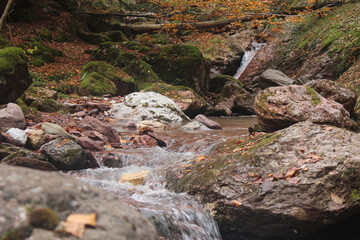 Stream descending from the mountain, between rocks, in the Hecho valley.
