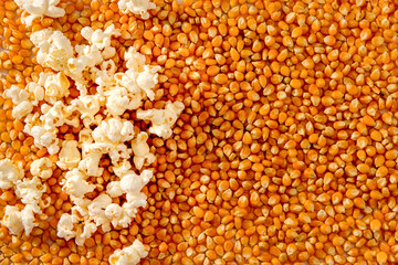 Background texture of corn kernels with some popcorn.