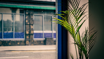 View outside a window from a restaurant.