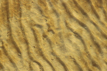Lake with Clear Water and Sandy Bottom
