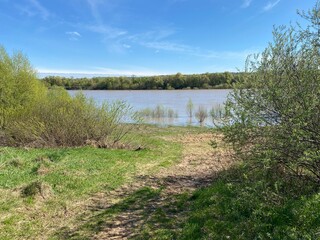 Trees and bushes bloom in spring along the river bank.