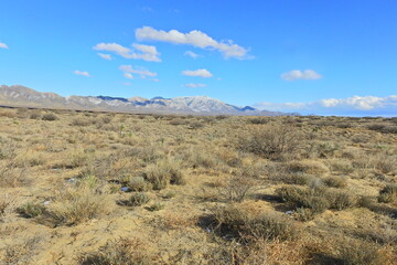 The beautiful scenery of the desert landscape in Cochise County, southeastern, Arizona.
