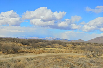 The beautiful scenery of the desert landscape in Cochise County, southeastern, Arizona.