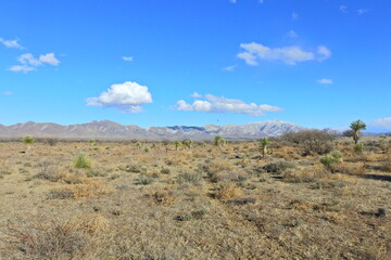Fototapeta na wymiar The beautiful scenery of the desert landscape in Cochise County, southeastern, Arizona.