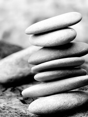 Schwemmholz Stein Deko mit Kieselstein am Rheinschwarz weis 