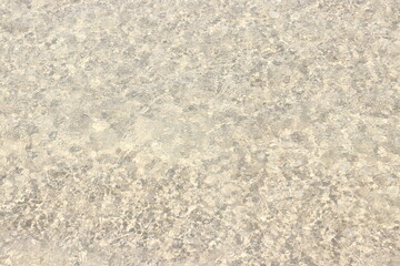 透き通った海の水と砂浜