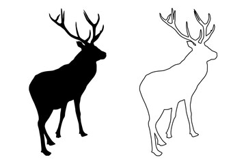 Red deer (Cervus elaphus) black silhouette, stag or hart,