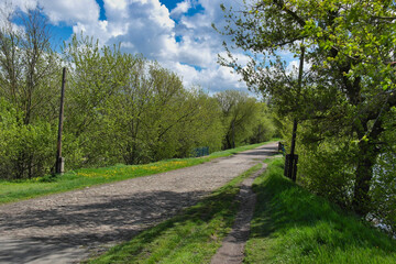 Fototapeta na wymiar Spring rural landscape, old road in village