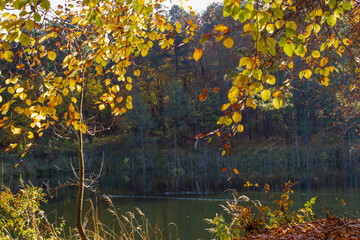 jesień nad rzeką