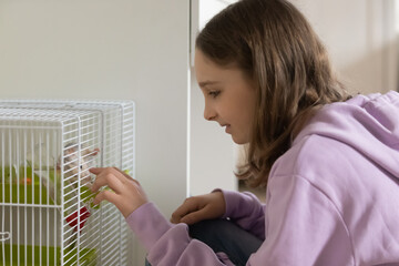 Happy playful teen kid girl having fun with favorite cute little domesticated rat at home. Smiling...