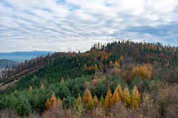 forest view europe czech republic summer travel vacation landmark tourism