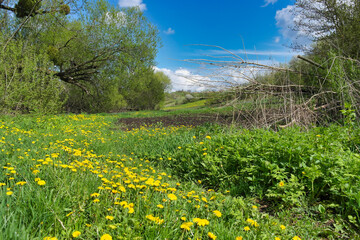 Spring rural landscape, old road in village