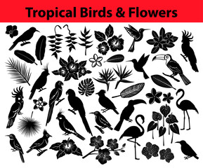  tropical rainforest exotic birds, parrots, flowers and some leaves Silhouettes in black color, colibri, blue and yellow, scarlet macaw, amazon parrot, pink flamingos, cockatoo, cockateil, bee eater © VecTerrain