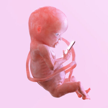 Human fetus embryo with smartphone in the womb isolated. Human development acceleration, quick learning, children intelligence, curiosity, advanced skills creative concept. Smart kid 3D illustration. 