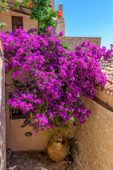 Traditional architecture with  narrow  stone street and a colorfull bougainvillea in  the medieval  castle of Monemvasia, Lakonia, Peloponnese, Greece.
