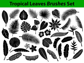 Tropical Exotic Leaves Silhouette with flowers in black color Coconut, Fan, Banana Palm, Alocasia, Monstera, Fern, Bird of Paradise, Plumeria, Heliconia, Hibiskus. Leafs are included as BRUSHES © VecTerrain
