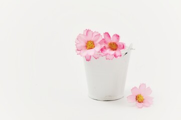 White iron buckets along with pink flowers, copy space on a white background.