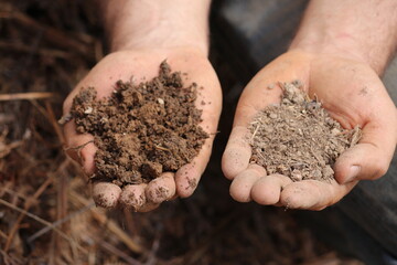 Fotografias autorais de agroecologias