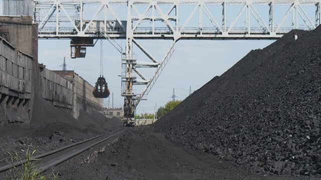 Harvesting and transshipment of coal using a crane at a thermal power plant